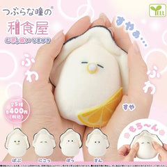 Oysters Baby Plush doll (5 types)